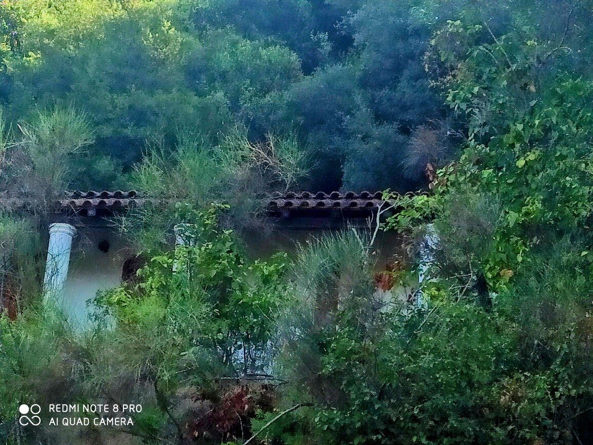 Οικόπεδο με κτίσμα  σε πλειστηριασμό Municipality of Corfu