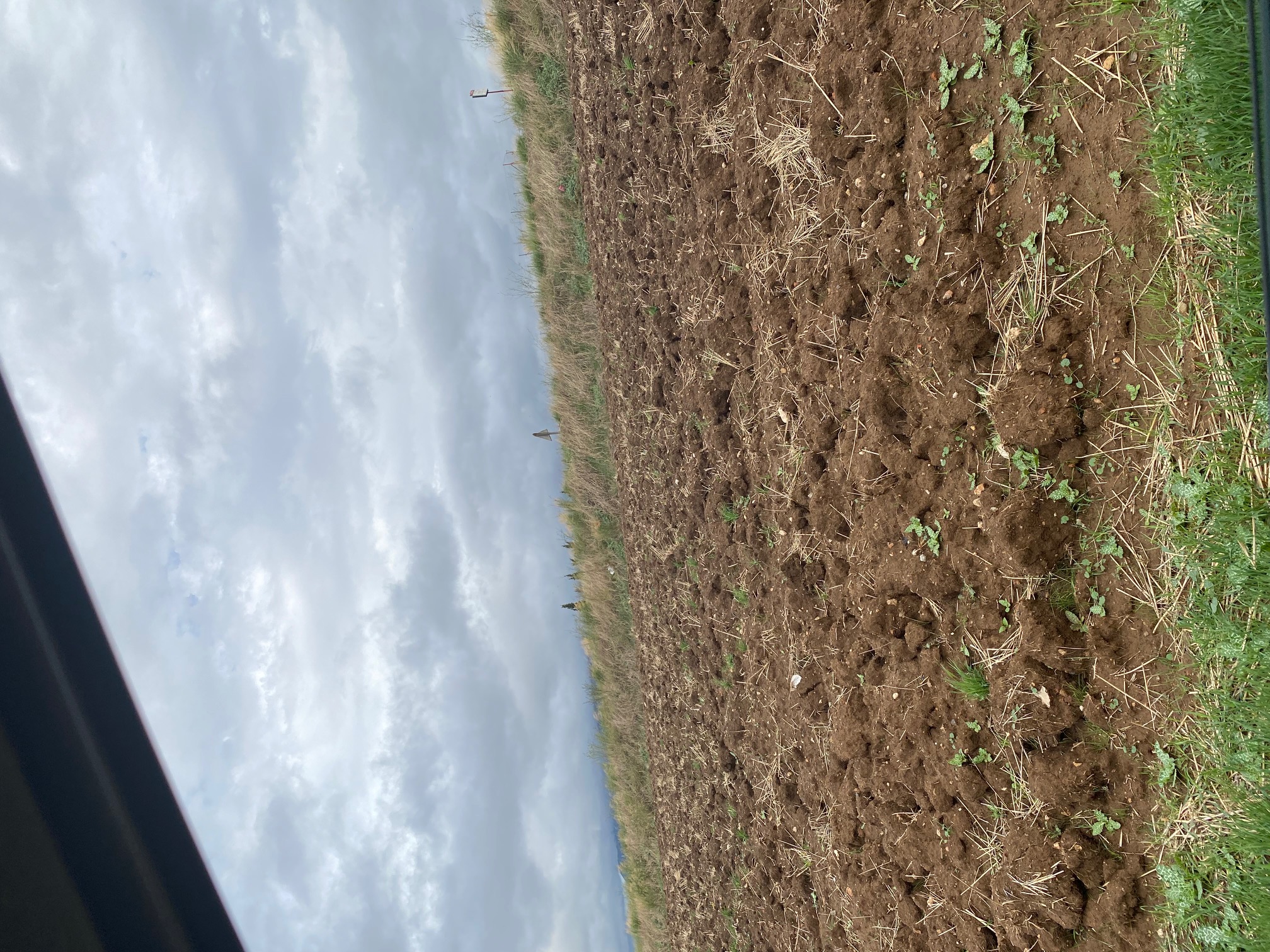 Αγροτεμάχιο  σε πλειστηριασμό Δήμος Θηβαίων