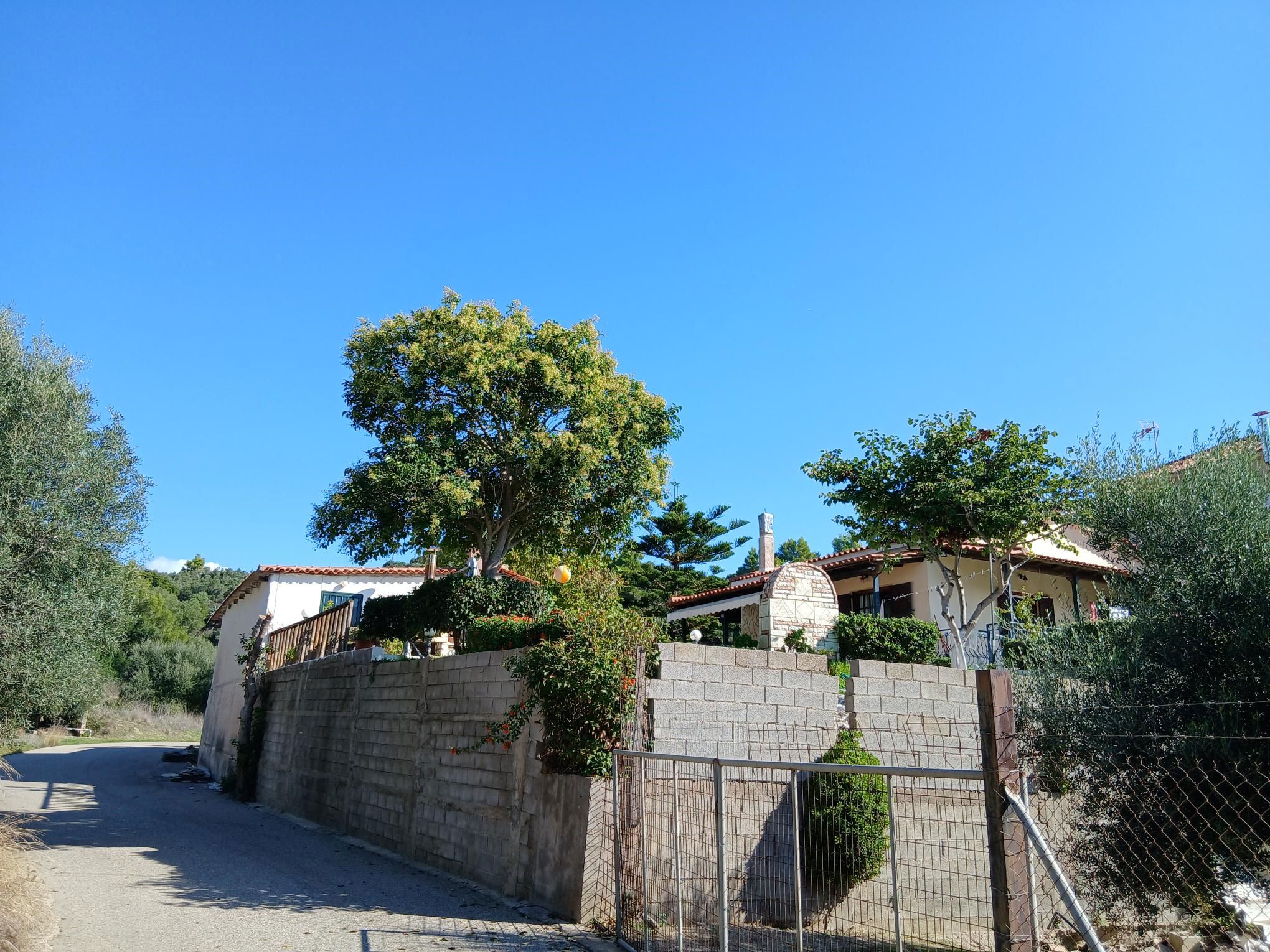 Κατοικία  σε πλειστηριασμό Δήμος Πύργου