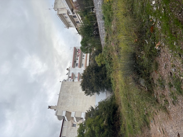 Οικόπεδο  σε πλειστηριασμό Municipality of Levadea