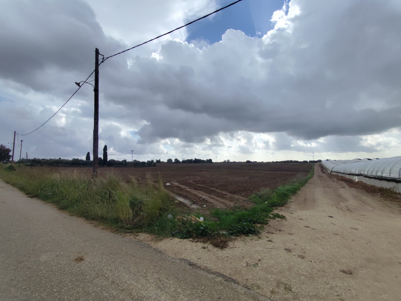 Αγροτεμάχιο  σε πλειστηριασμό Δήμος Ανδραβίδας - Κυλλήνης