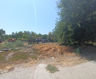 Οικόπεδο  σε πλειστηριασμό Δήμος Παλαμά