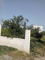 Οικόπεδο με κτίσμα  σε πλειστηριασμό Δήμος Αιγιαλείας