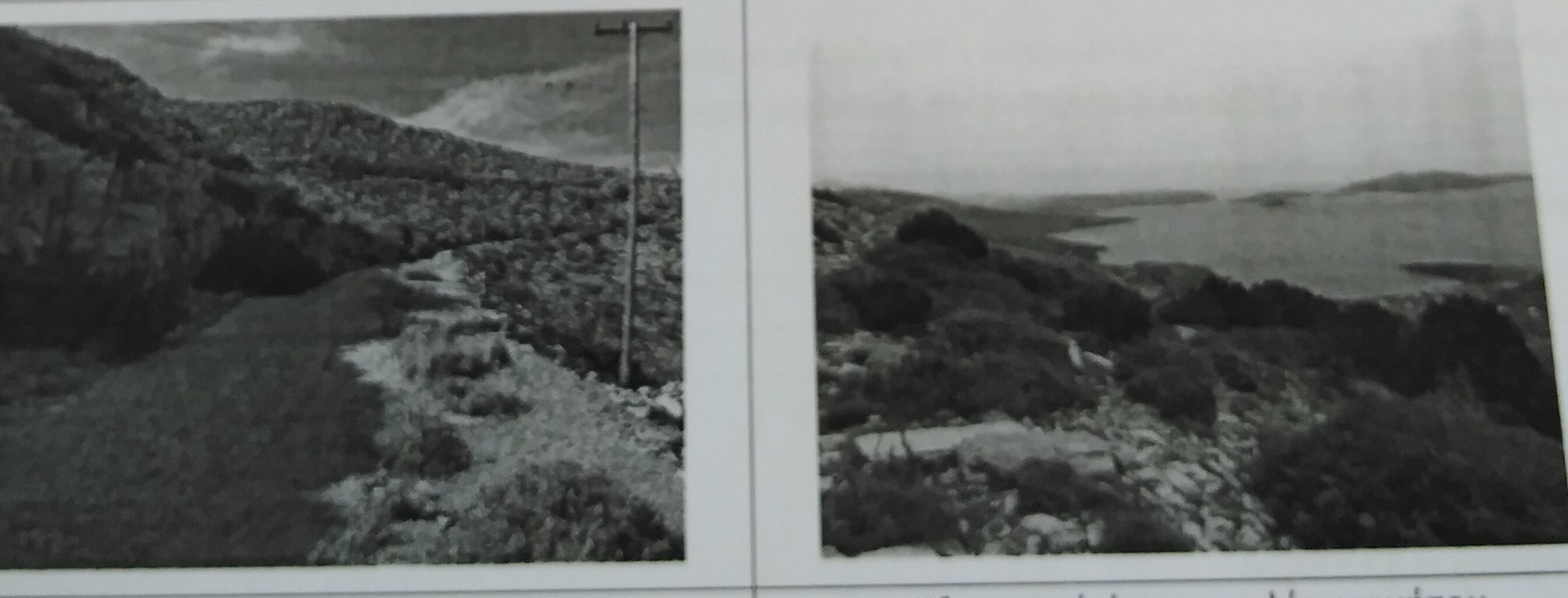 Οικόπεδο 916.90 τ.μ. σε πλειστηριασμό Δήμος Καρύστου