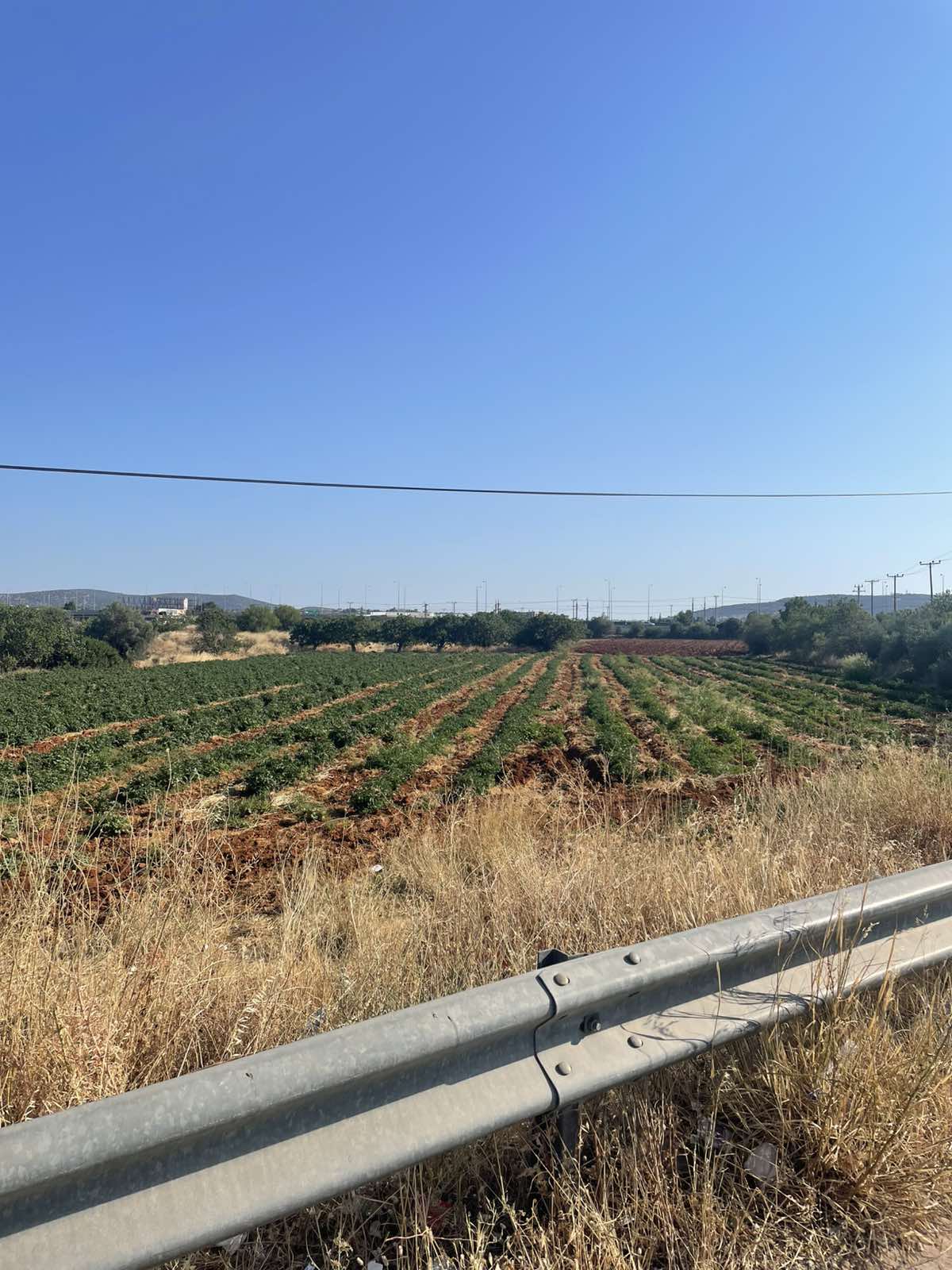 Αγροτεμάχιο  σε πλειστηριασμό Δήμος Κρωπίας