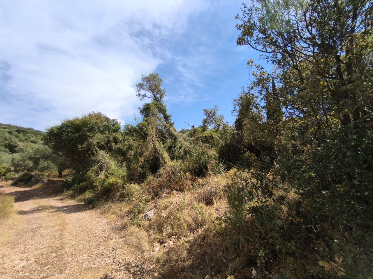 Αγροτεμάχιο 259 τ.μ. σε πλειστηριασμό Δήμος Γόρτυνος