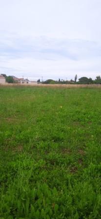 Κατοικία  σε πλειστηριασμό Δήμος Ζακύνθου