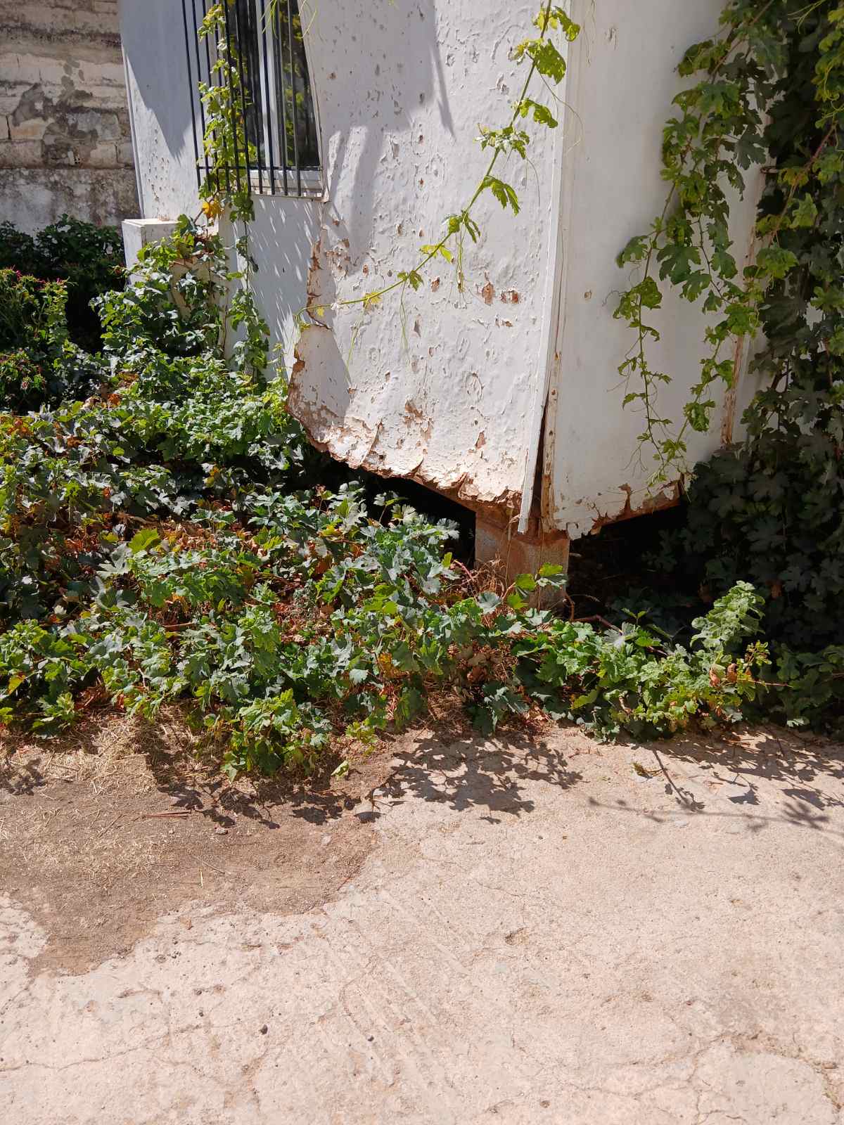 Οικόπεδο με κτίσμα 50 τ.μ. σε πλειστηριασμό Δήμος Μάνδρας - Ειδυλλίας