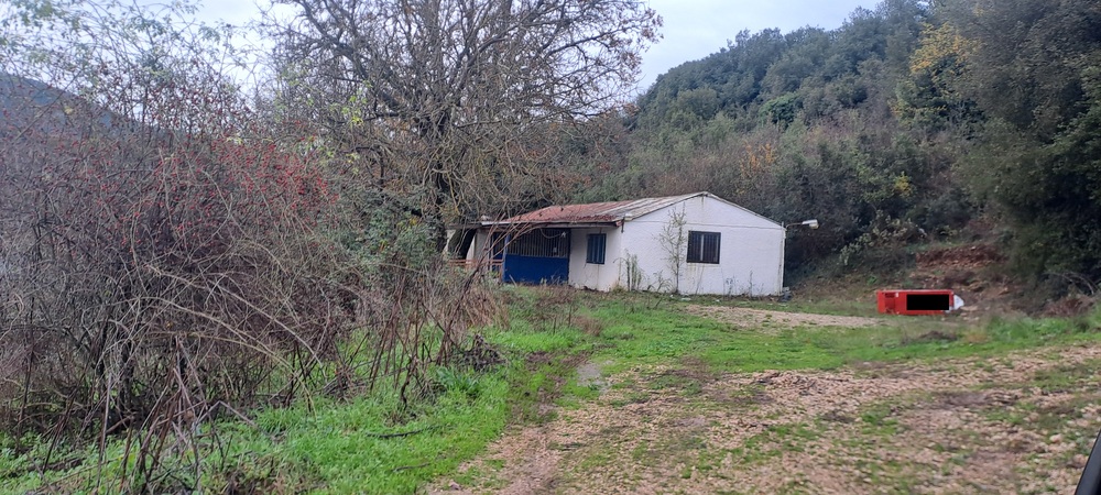 Αγροτεμάχιο με κτίσμα  σε πλειστηριασμό Δήμος Ζαγορίου