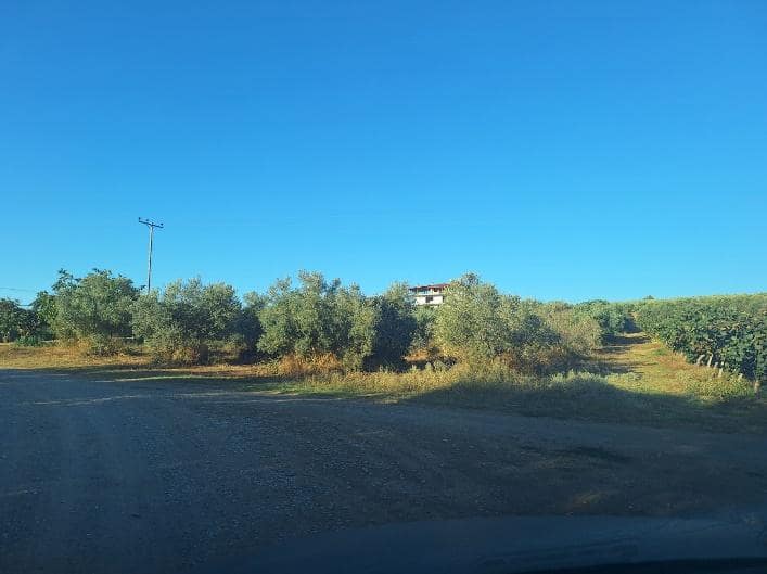 Αγροτεμάχιο 4619 sq.m. σε πλειστηριασμό Municipality of Pydna - Kolindros