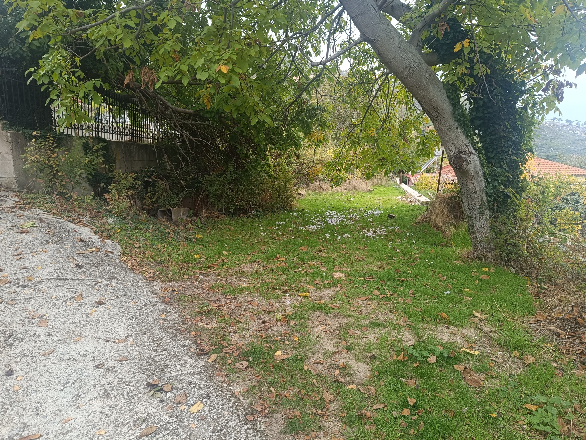 Οικόπεδο 264.32 τ.μ. σε πλειστηριασμό Δήμος Θάσου