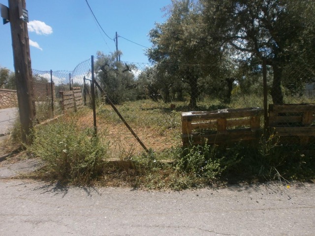 Οικόπεδο 915 τ.μ. σε πλειστηριασμό Δήμος Σπάρτης