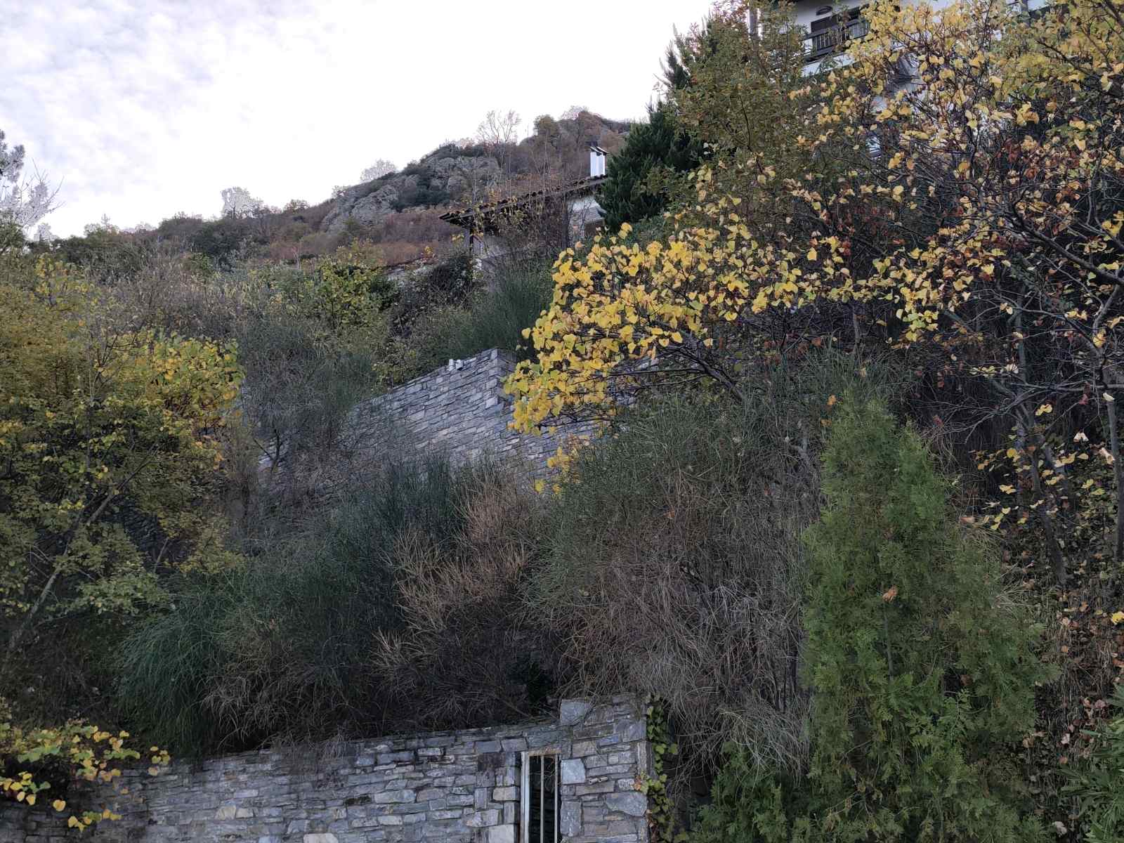 Αγροτεμάχιο με κτίσμα  σε πλειστηριασμό Δήμος  Τεμπών