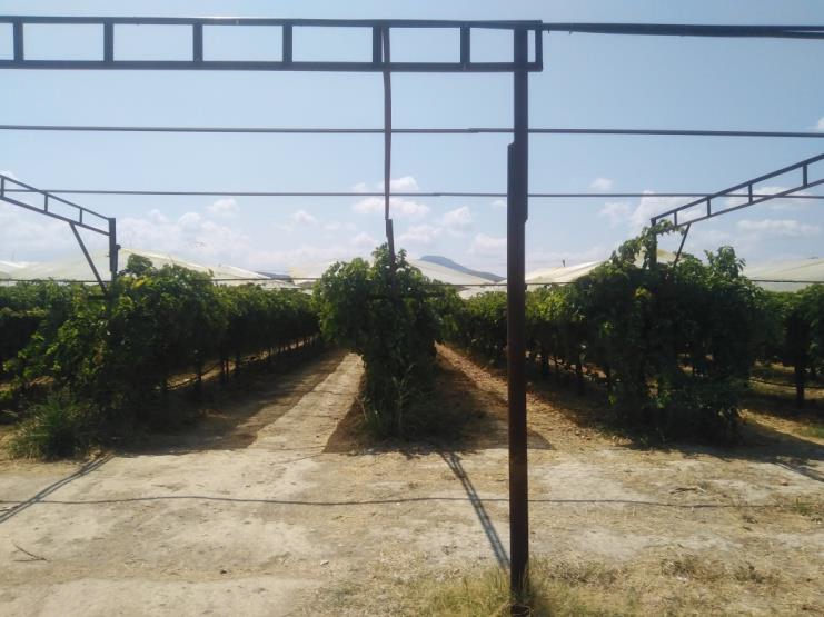 Αγροτεμάχιο 885 sq.m. σε πλειστηριασμό Municipality of Velos - Vochas