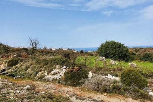 Οικόπεδο  σε πλειστηριασμό Δήμος Μυλοποτάμου