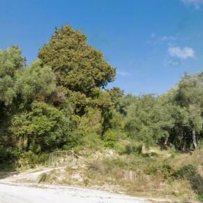 Αγροτεμάχιο με κτίσμα  σε πλειστηριασμό Δήμος Πάργας