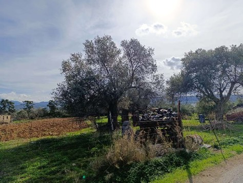 Οικόπεδο 198.73 τ.μ. σε πλειστηριασμό Δήμος Ρεθύμνης