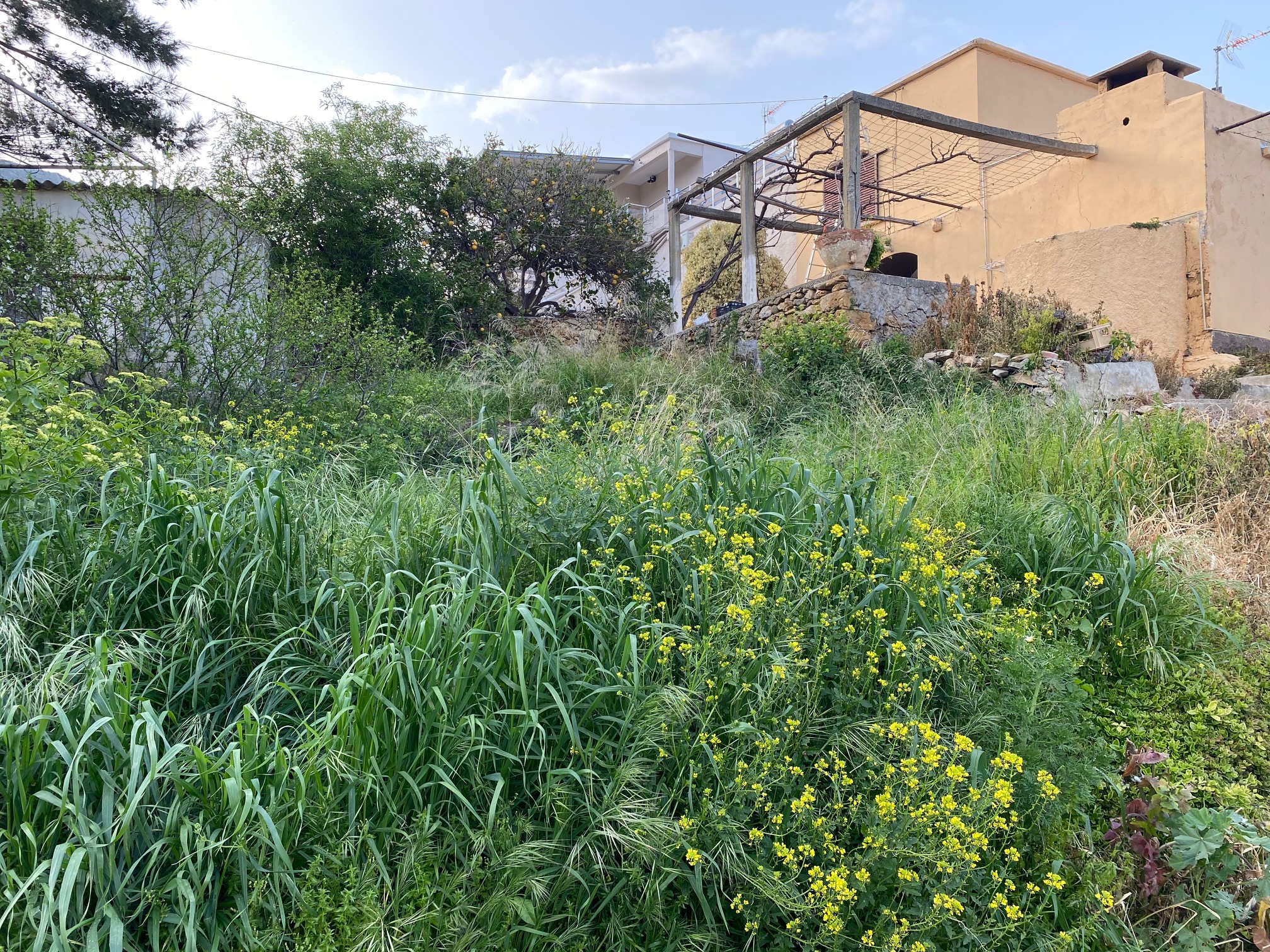 Οικόπεδο 59.05 τ.μ. σε πλειστηριασμό Δήμος Πλατανιά  