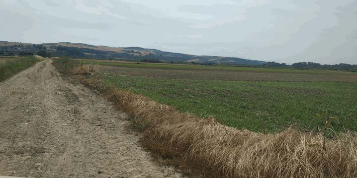 Αγροτεμάχιο  σε πλειστηριασμό Municipality of Pydna - Kolindros
