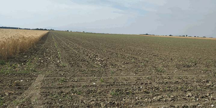 Αγροτεμάχιο  σε πλειστηριασμό Municipality of Pydna - Kolindros