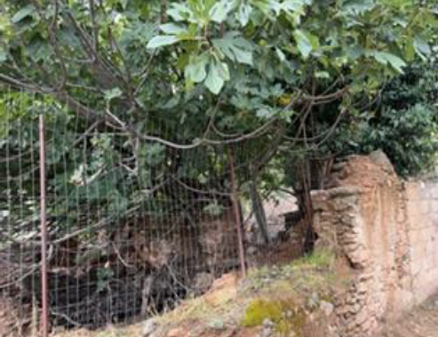 Οικόπεδο με κτίσμα  σε πλειστηριασμό Δήμος Λέσβου