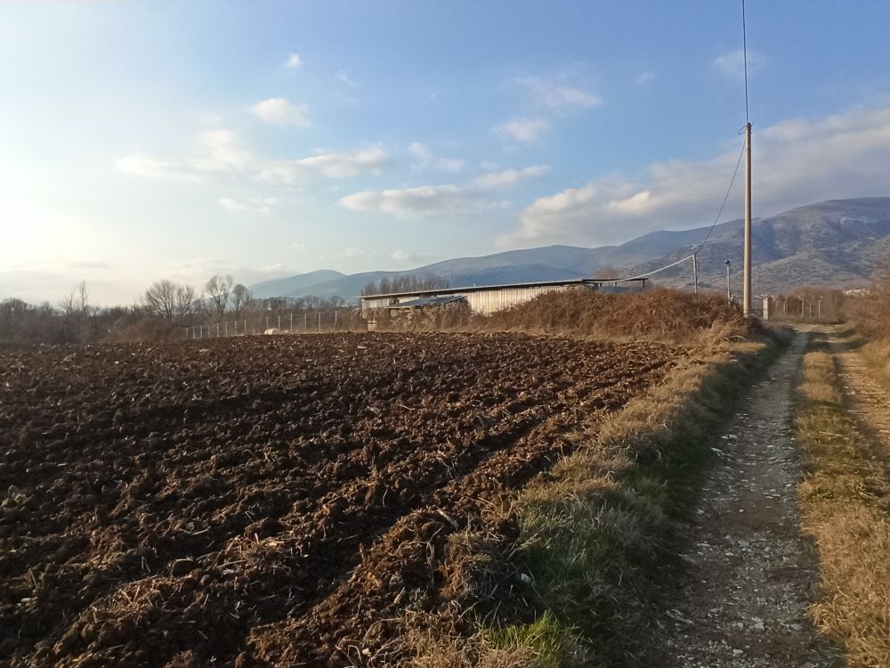 Αγροτεμάχιο με κτίσμα  σε πλειστηριασμό Δήμος Δράμας