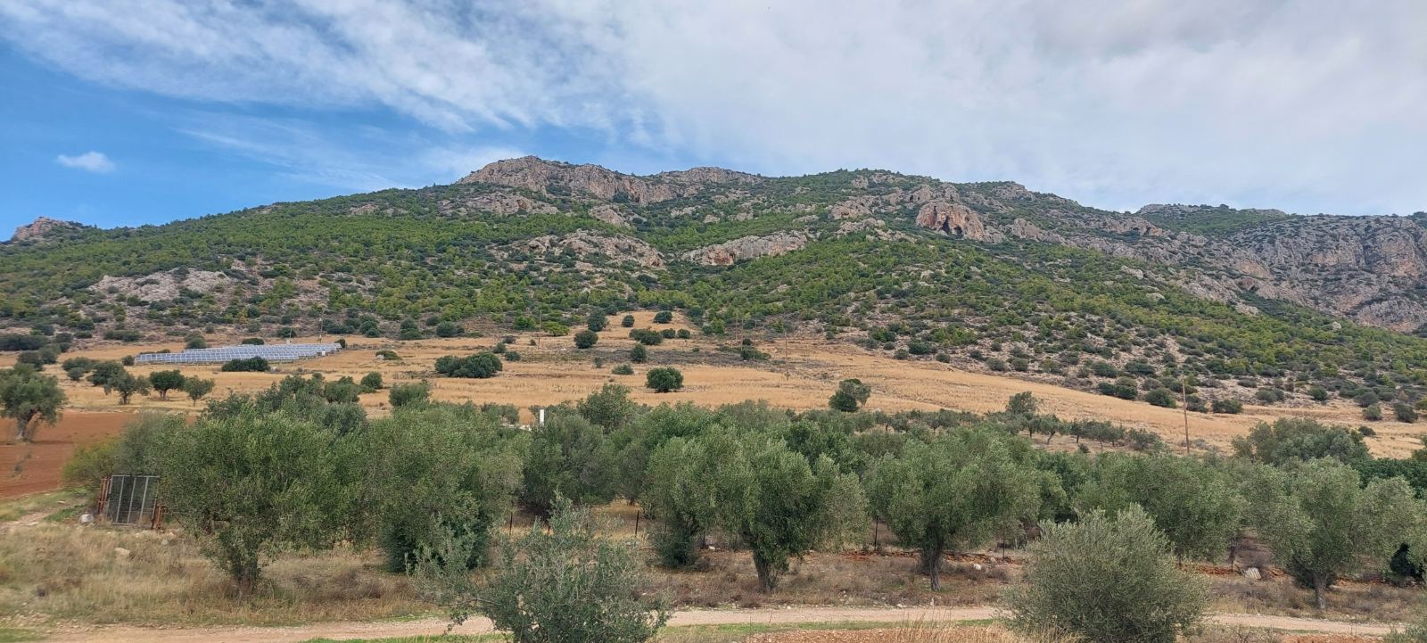 Αγροτεμάχιο  σε πλειστηριασμό Δήμος Μεγαρέων