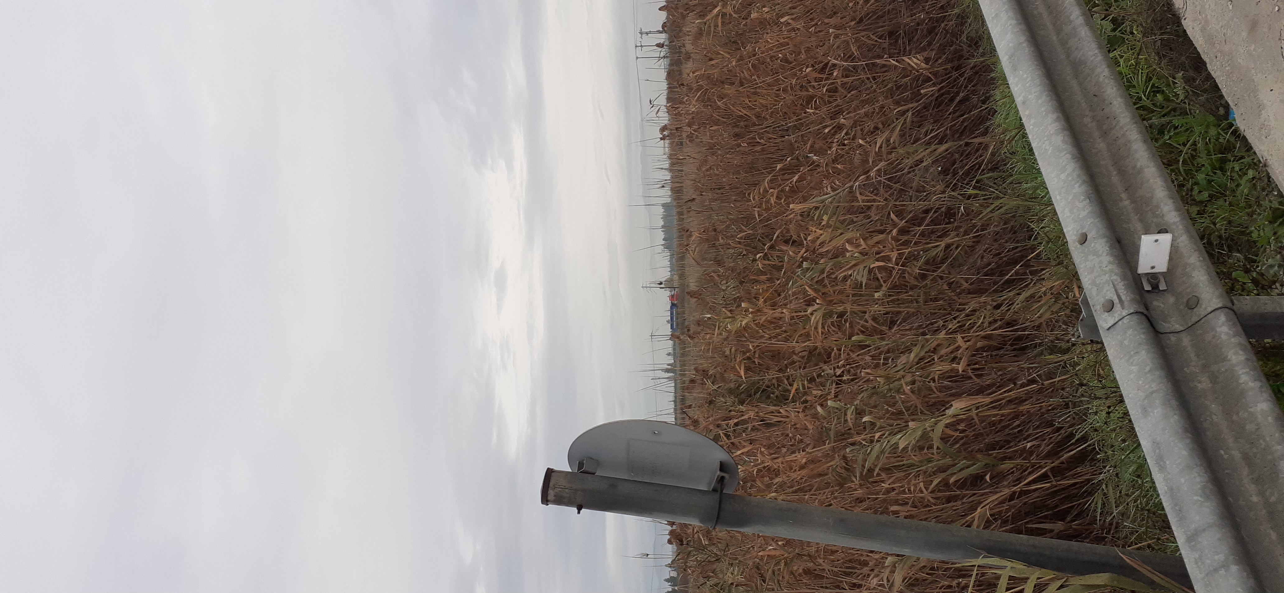 Αγροτεμάχιο 0 τ.μ. σε πλειστηριασμό Δήμος Κιλελέρ