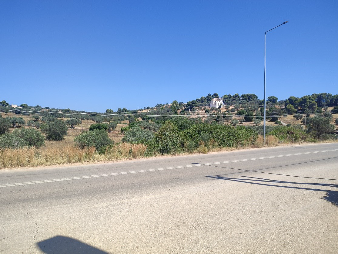 Αγροτεμάχιο 7000 τ.μ. σε πλειστηριασμό Δήμος Ερμιονίδας