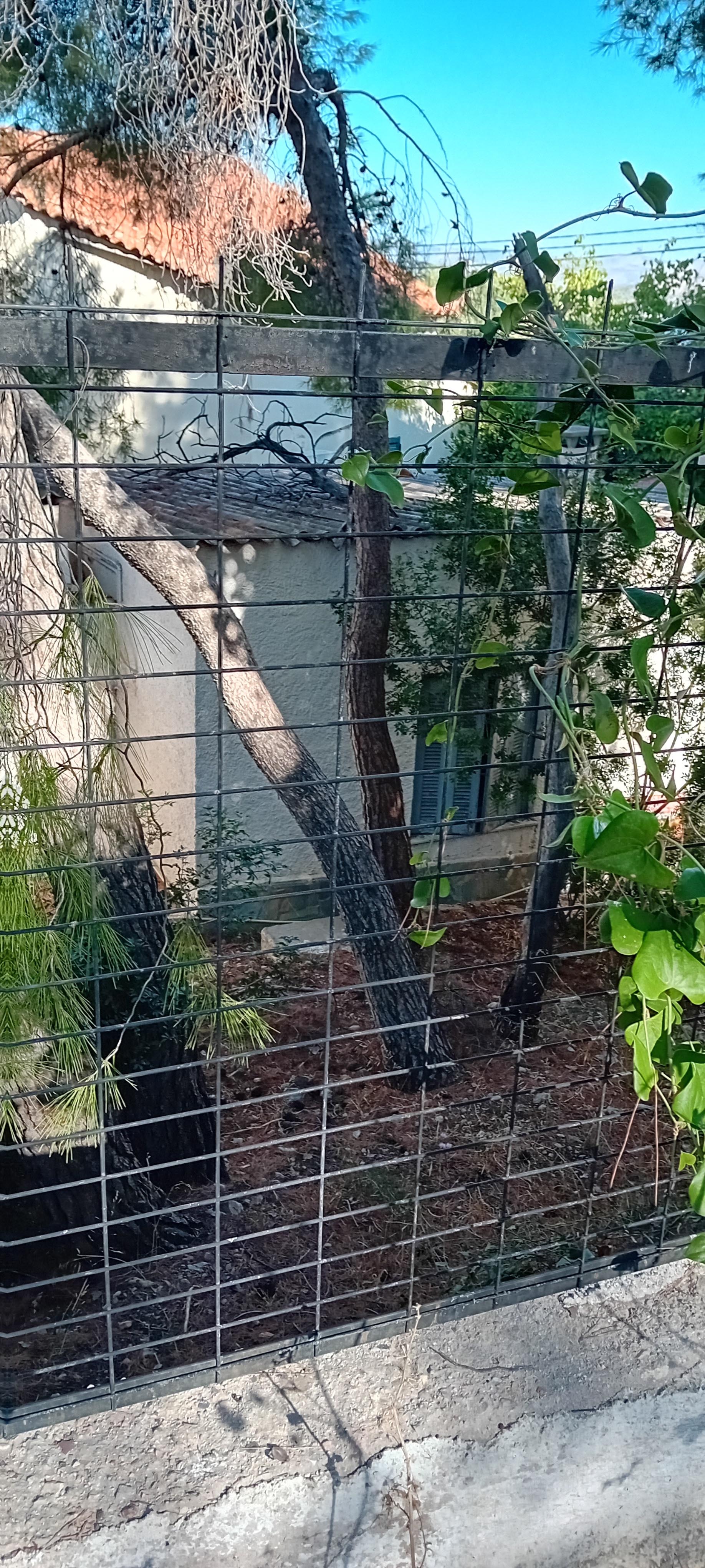 Κατοικία  σε πλειστηριασμό Δήμος Σαλαμίνας