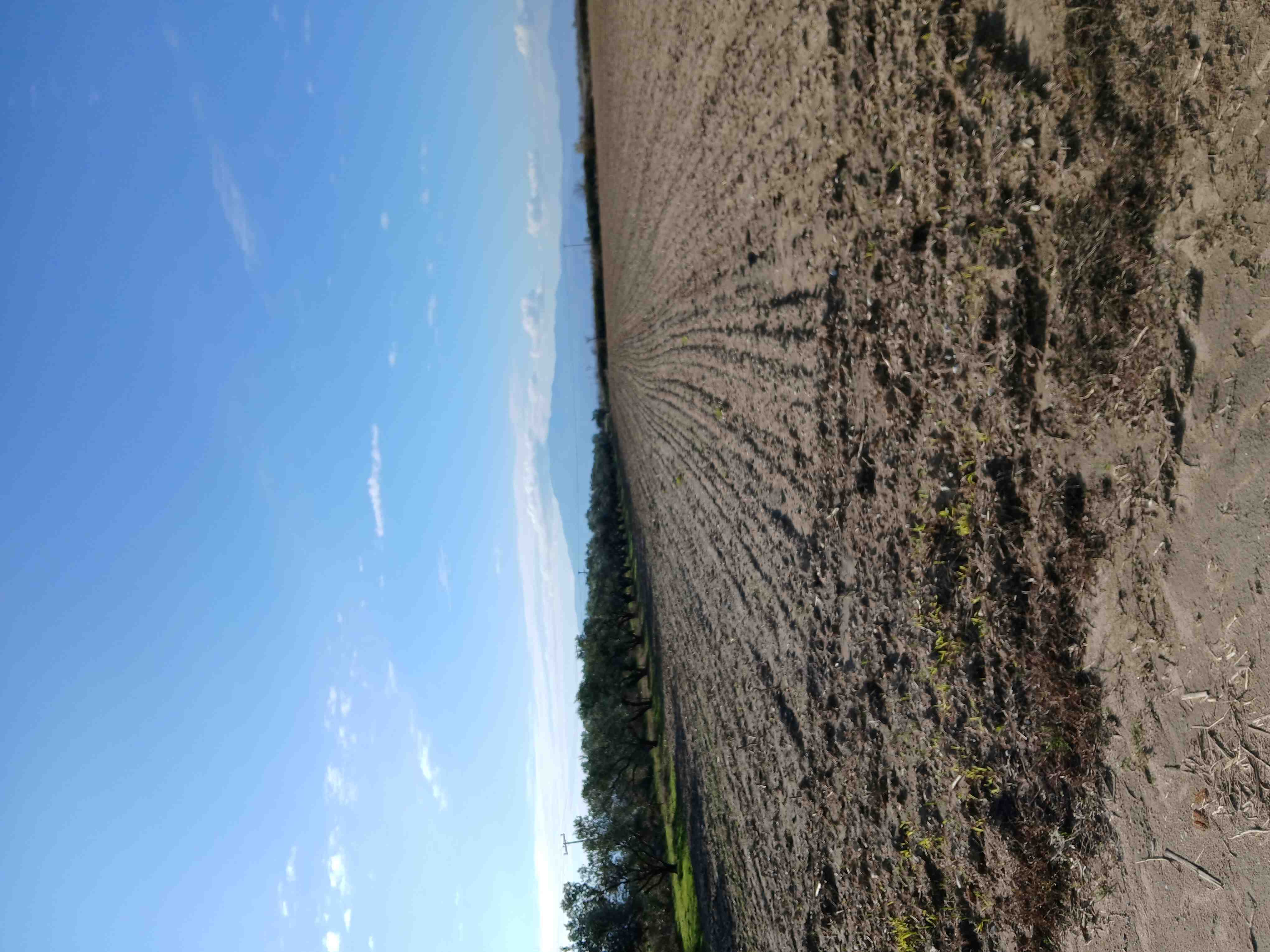 Αγροτεμάχιο  σε πλειστηριασμό Δήμος Σιντικής