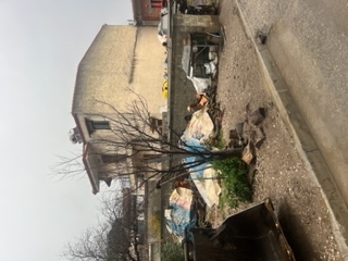 Οικόπεδο με κτίσμα  σε πλειστηριασμό Δήμος Ορχομενού