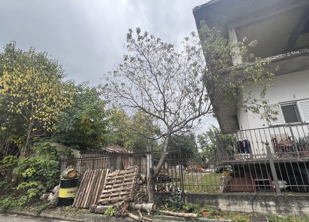 Κατοικία  σε πλειστηριασμό Δήμος Παλαμά