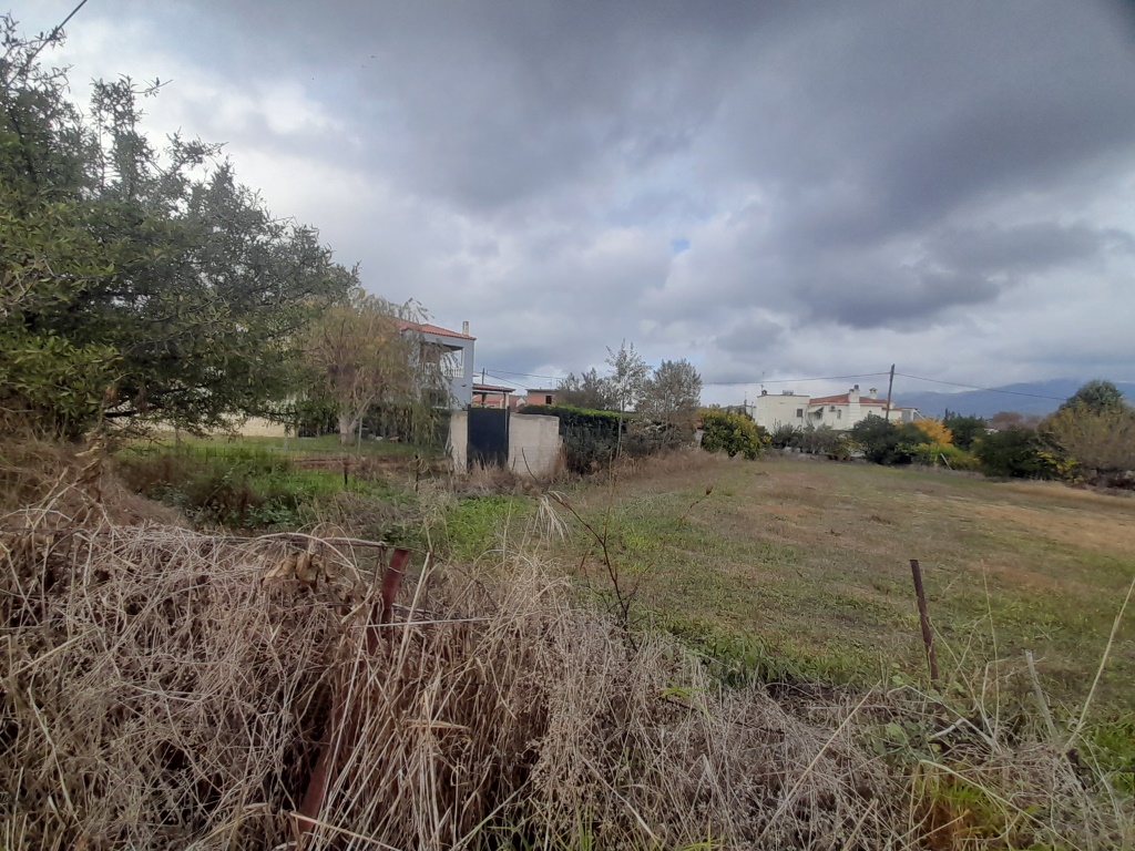 Οικόπεδο 195.47 sq.m. σε πλειστηριασμό Municipality of Kymi - Aliveri