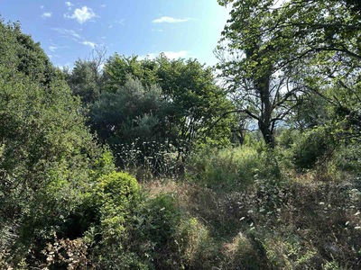 Οικόπεδο με κτίσμα  σε πλειστηριασμό Δήμος Κέρκυρας