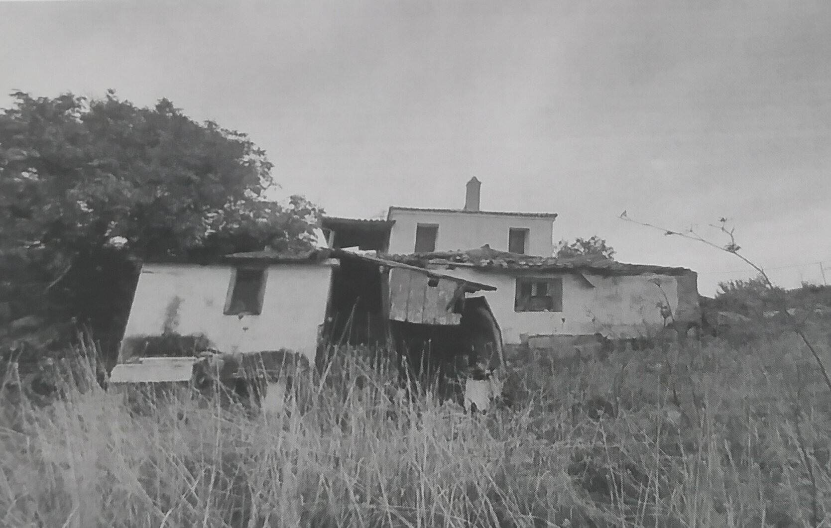Οικόπεδο με κτίσμα  σε πλειστηριασμό Δήμος Διρφύων - Μεσσαπίων