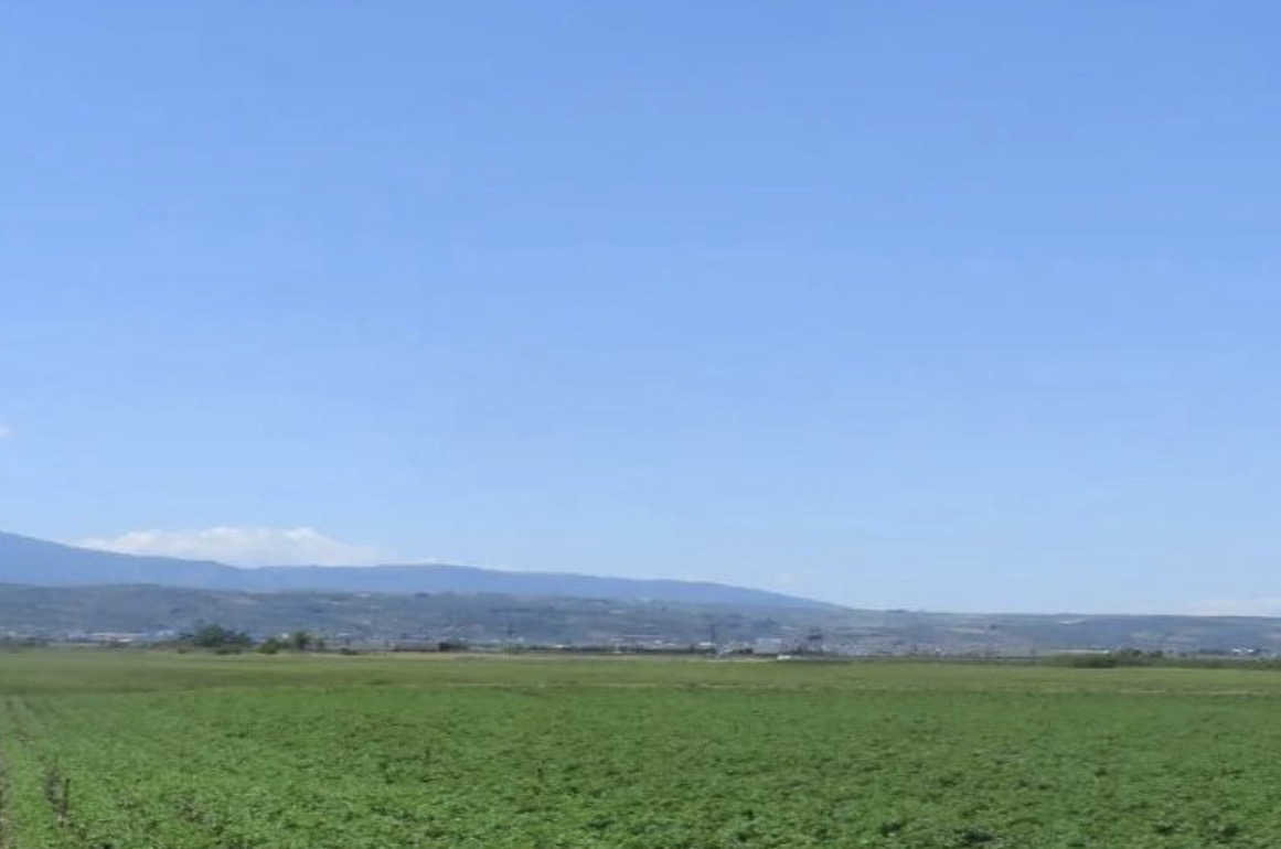 Αγροτεμάχιο 0 τ.μ. σε πλειστηριασμό Δήμος Τανάγρας