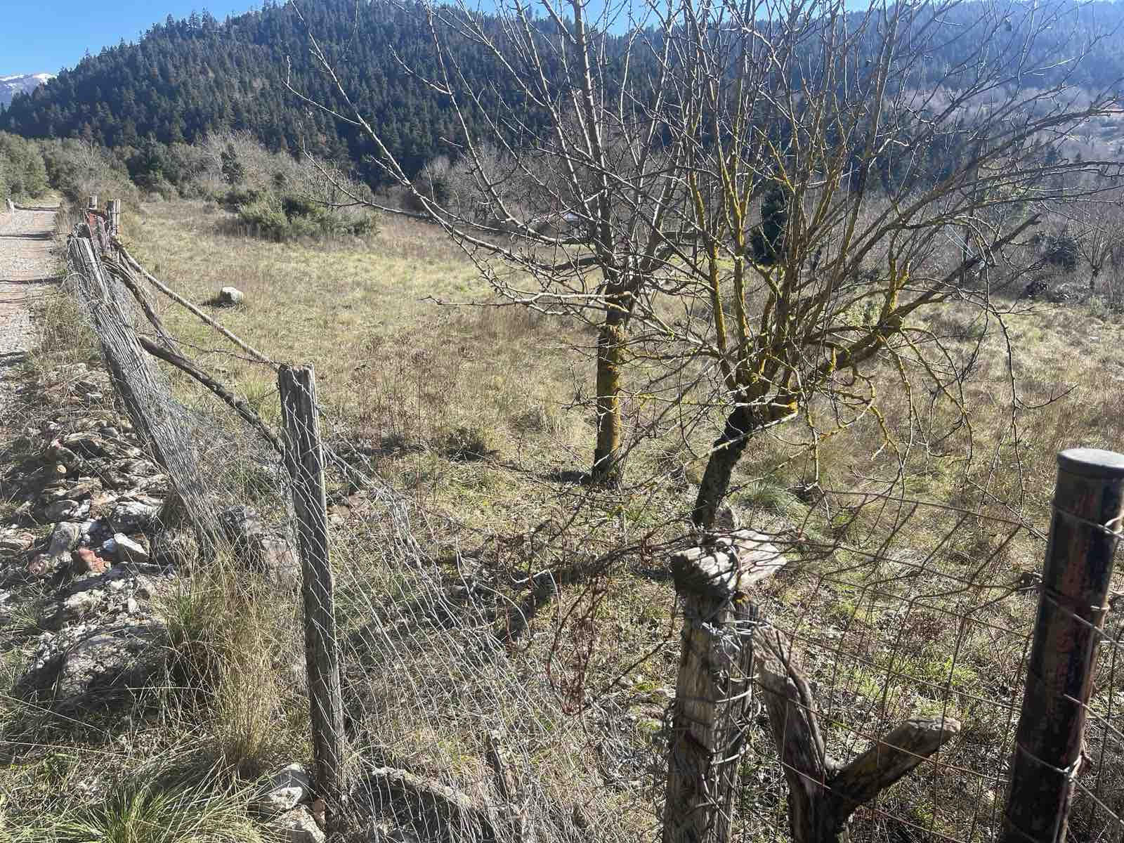 Αγροτεμάχιο 9113 τ.μ. σε πλειστηριασμό Δήμος Καρπενησίου