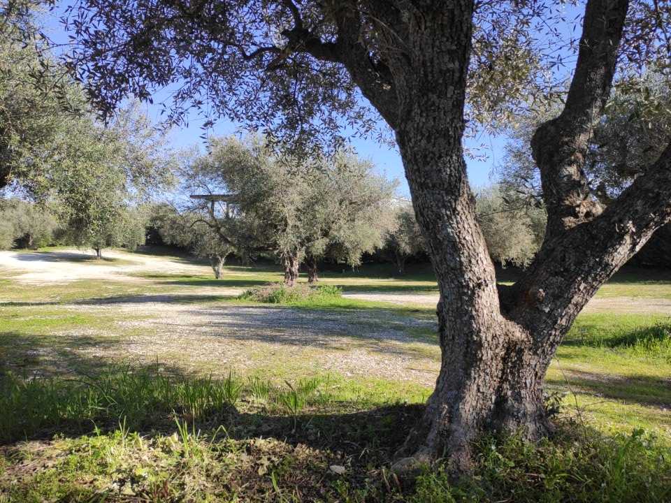 Κατοικία  σε πλειστηριασμό Municipality of Patreon