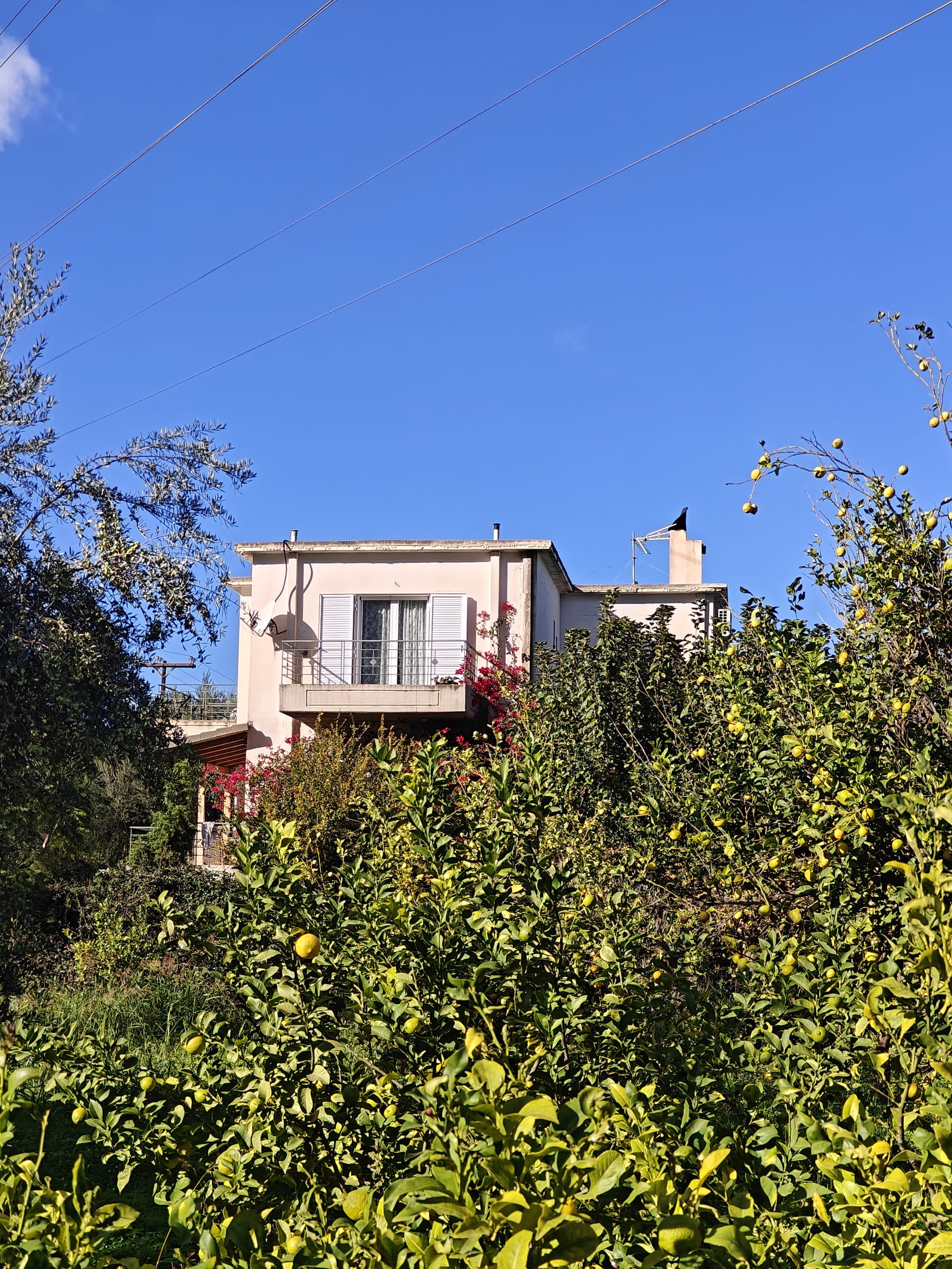 Κατοικία  σε πλειστηριασμό Δήμος Αιγιαλείας