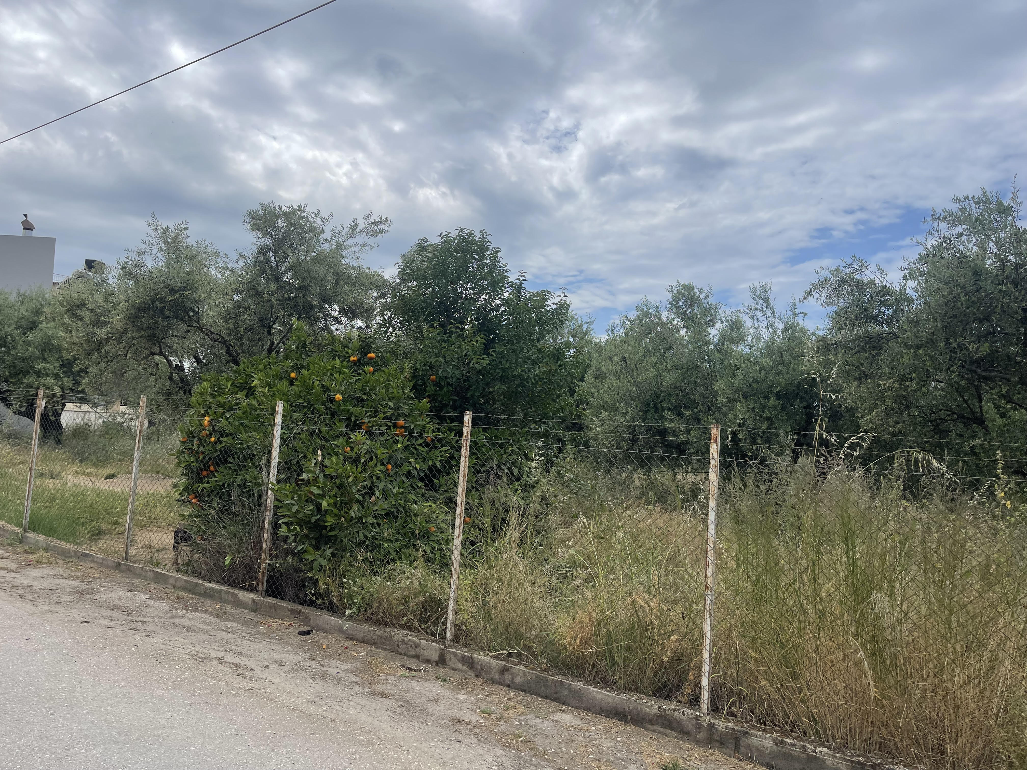 Οικόπεδο  σε πλειστηριασμό Municipality of Patreon