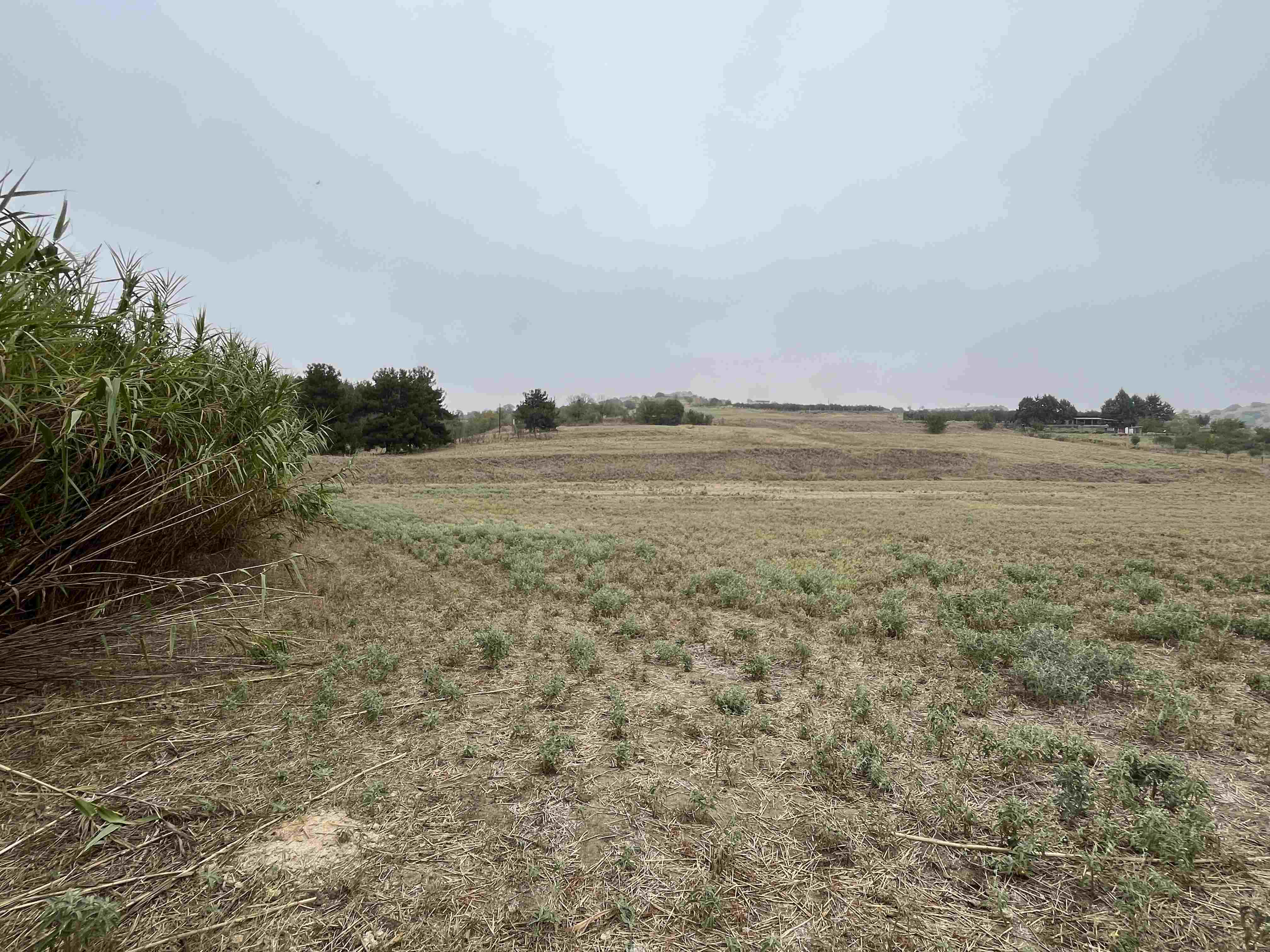 Αγροτεμάχιο 4908 τ.μ. σε πλειστηριασμό Δήμος Σερρών