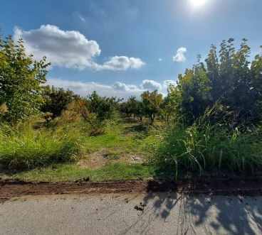 Αγροτεμάχιο  σε πλειστηριασμό Δήμος Ηρωικής Πόλεως Νάουσας