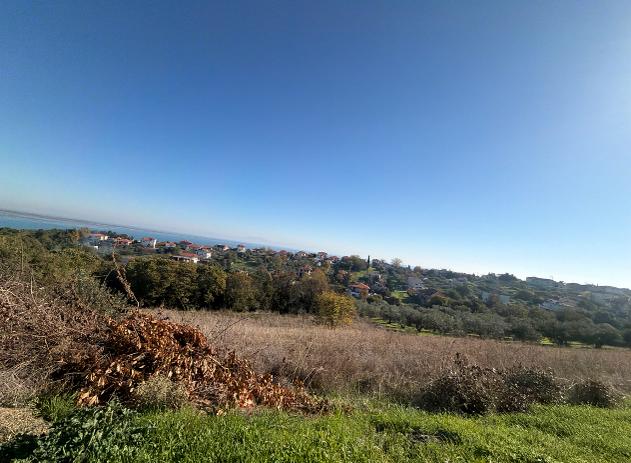 Αγροτεμάχιο  σε πλειστηριασμό Δήμος Πύδνας - Κολινδρού