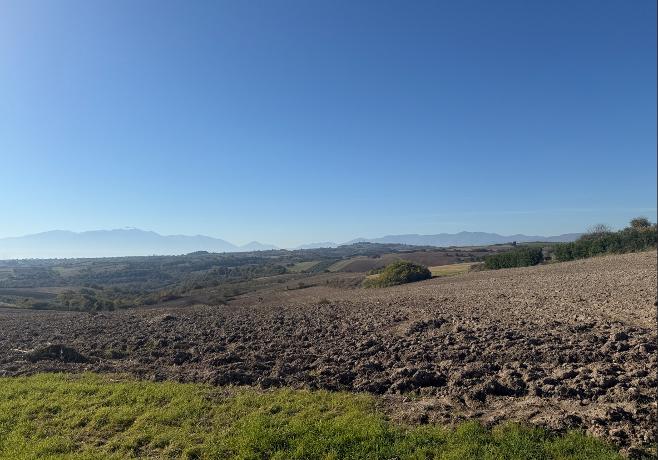 Αγροτεμάχιο  σε πλειστηριασμό Δήμος Πύδνας - Κολινδρού