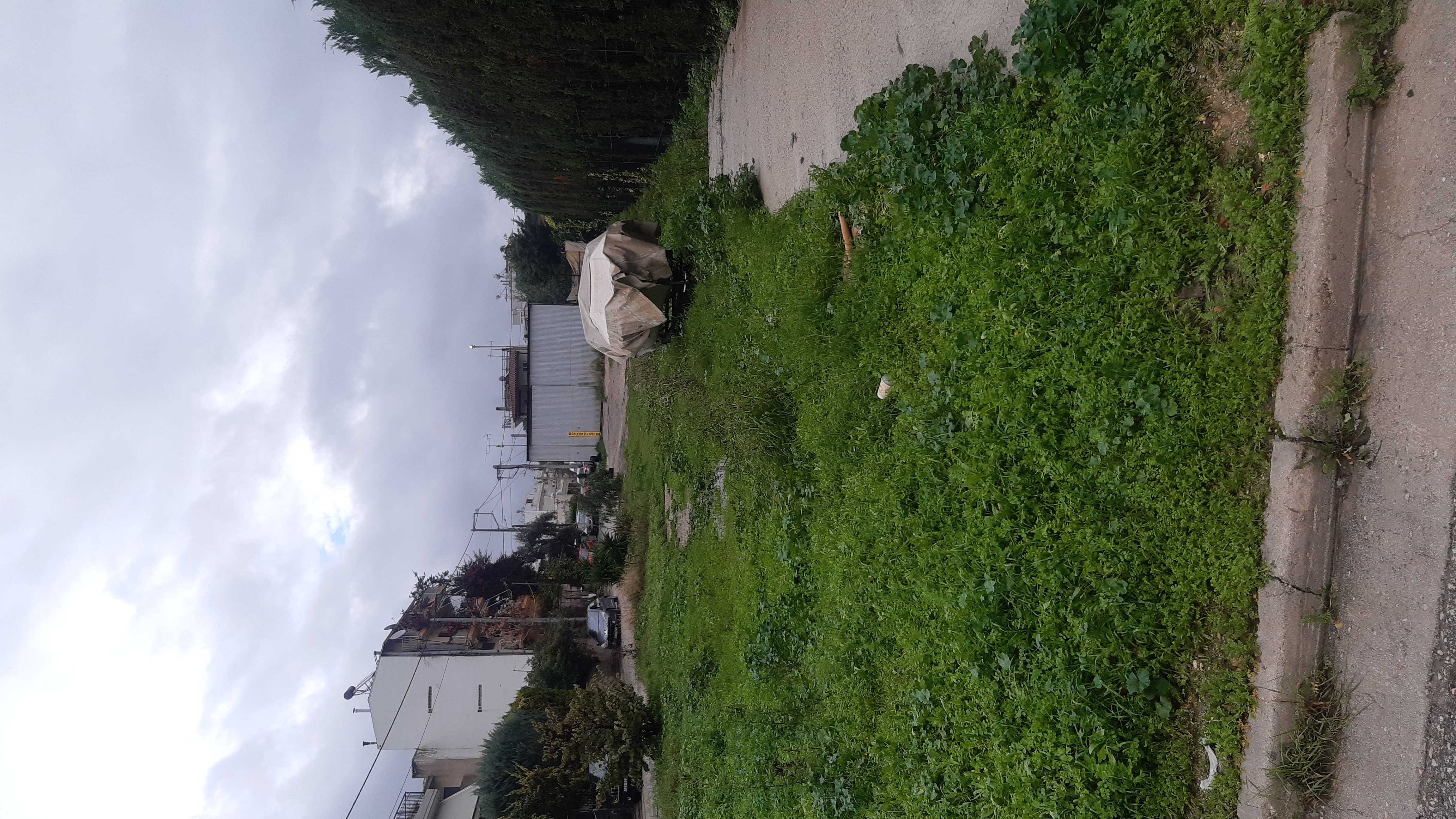 Οικόπεδο 723.10 τ.μ. σε πλειστηριασμό Δήμος Αχαρνών