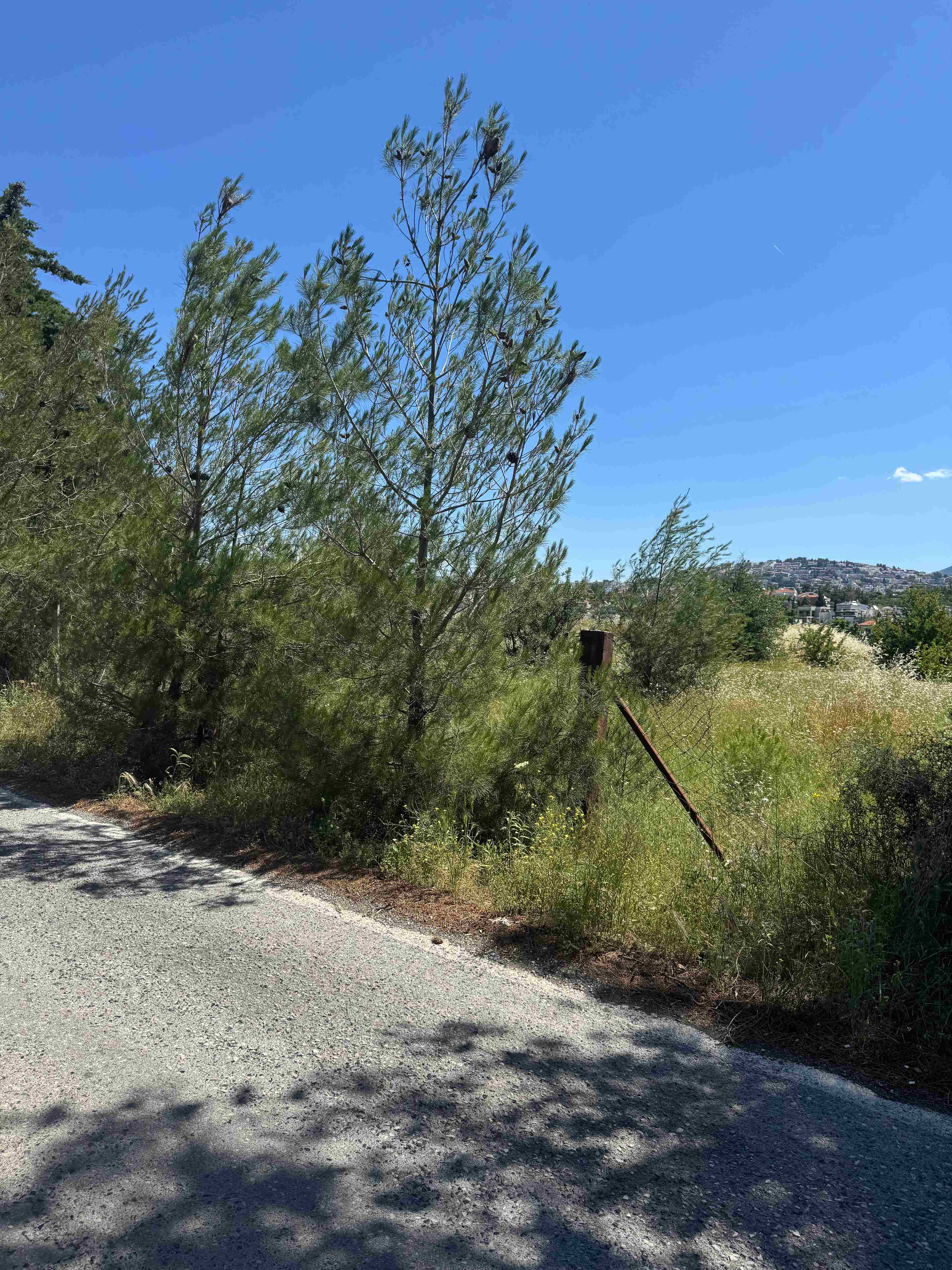 Αγροτεμάχιο  σε πλειστηριασμό Δήμος Πυλαίας - Χορτιάτη