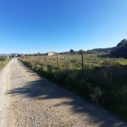 Αγροτεμάχιο  σε πλειστηριασμό Municipality of Thermi