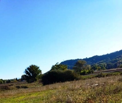 Αγροτεμάχιο 430.96 τ.μ. σε πλειστηριασμό Δήμος Άργους Ορεστικού