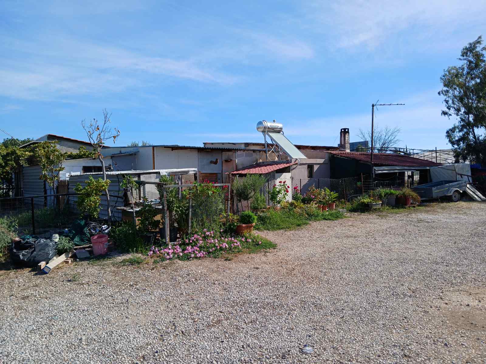 Αγροτεμάχιο  σε πλειστηριασμό Δήμος Αχαρνών